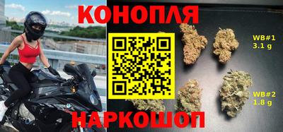 прущие грибы Нальчик