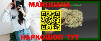 прущие грибы Нальчик