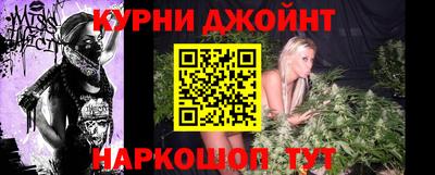 прущие грибы Нальчик