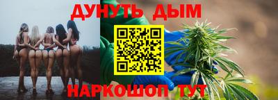 прущие грибы Нальчик