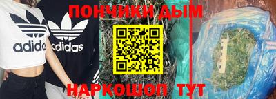 прущие грибы Нальчик