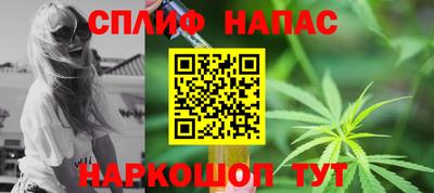 прущие грибы Нальчик