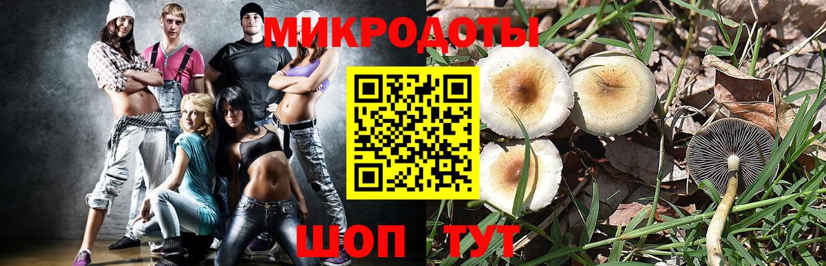 Троицк  Псилоцибиновые грибы Psilocybine cubensis  Псилоцибиновые грибы Magic Shrooms  Вход с VPN 